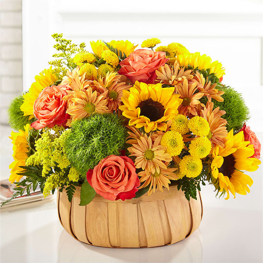 Harvest Sunflower Basket –  Ashland Floral Gardens Llc, Ashland OH