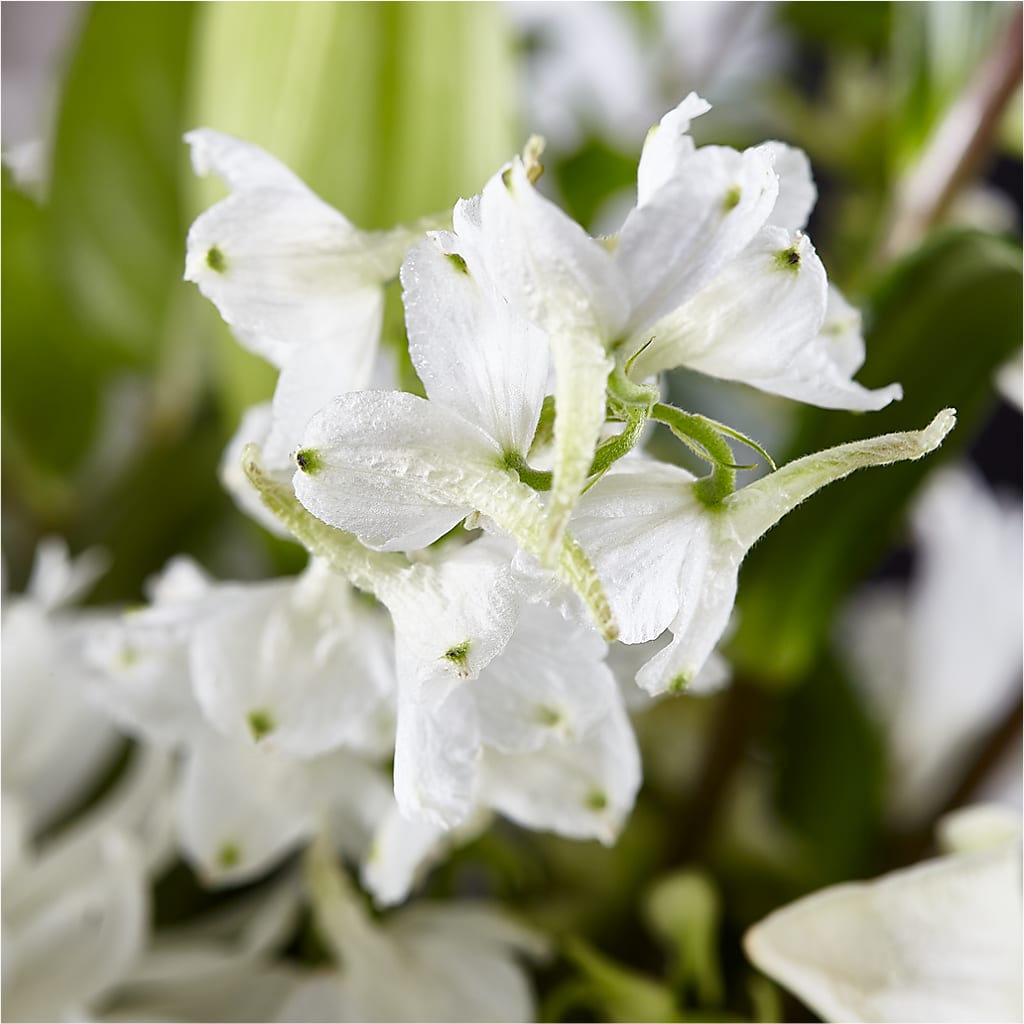 Classic Ivory – A Florist Original –  Ashland Floral Gardens Llc, Ashland OH