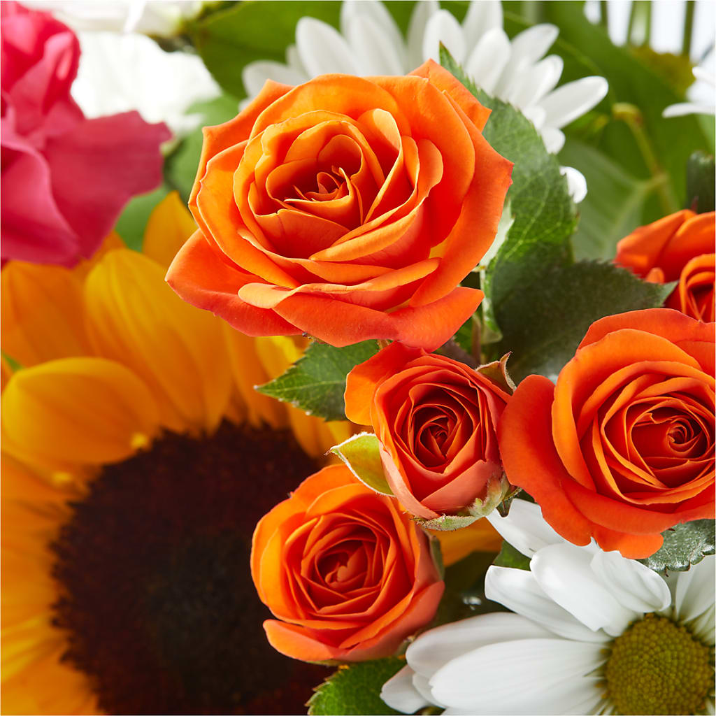 Sun-drenched Blooms Bouquet –  Ashland Floral Gardens Llc, Ashland OH