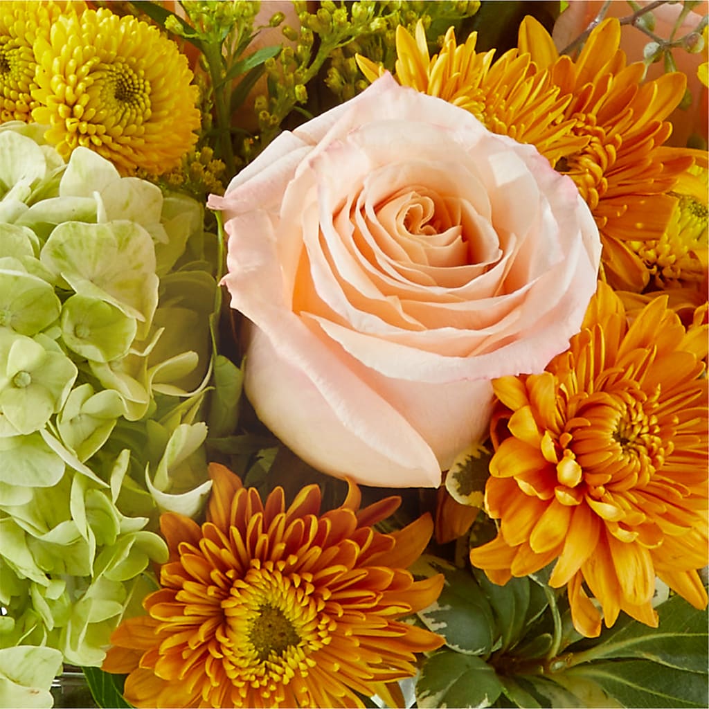 Fall Foliage Bouquet –  Ashland Floral Gardens Llc, Ashland OH