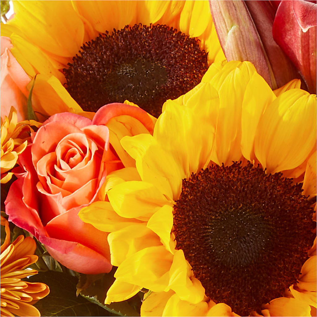 Acorn Lane Bouquet –  Ashland Floral Gardens Llc, Ashland OH