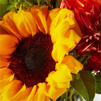 Harvest Festival Bouquet –  Ashland Floral Gardens Llc, Ashland OH