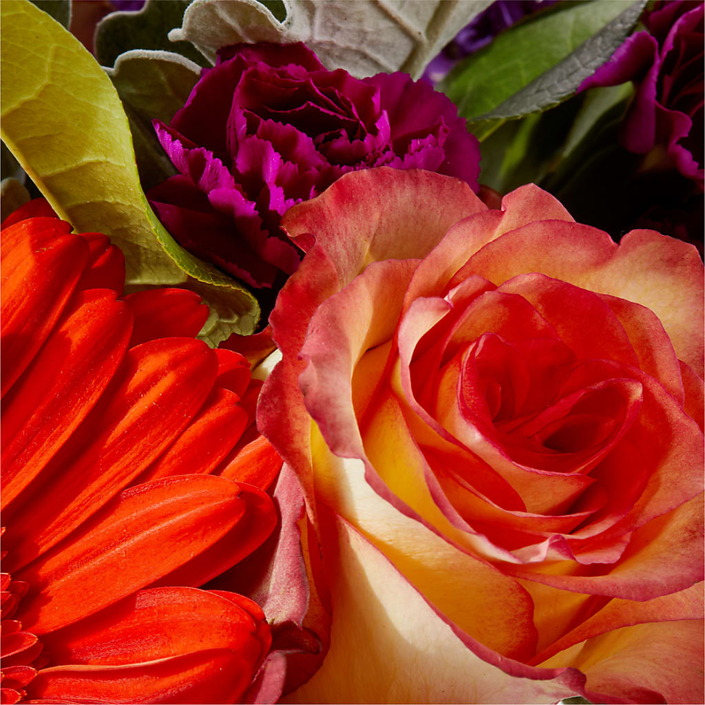 Sangria Bouquet –  Ashland Floral Gardens Llc, Ashland OH