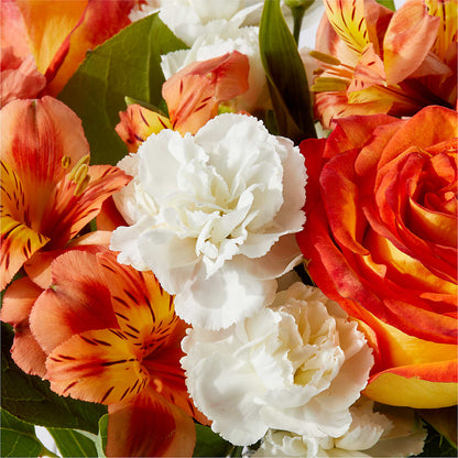 Apricot Glow Bouquet –  Ashland Floral Gardens Llc, Ashland OH
