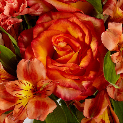Apricot Glow Bouquet –  Ashland Floral Gardens Llc, Ashland OH