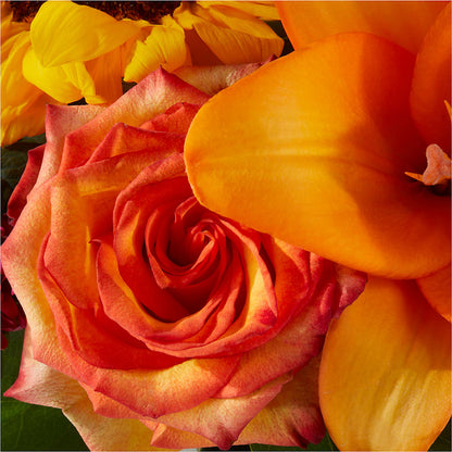 Grateful Centerpiece –  Ashland Floral Gardens Llc, Ashland OH
