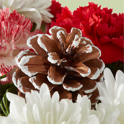 Candy Cane Lane Bouquet –  Ashland Floral Gardens Llc, Ashland OH