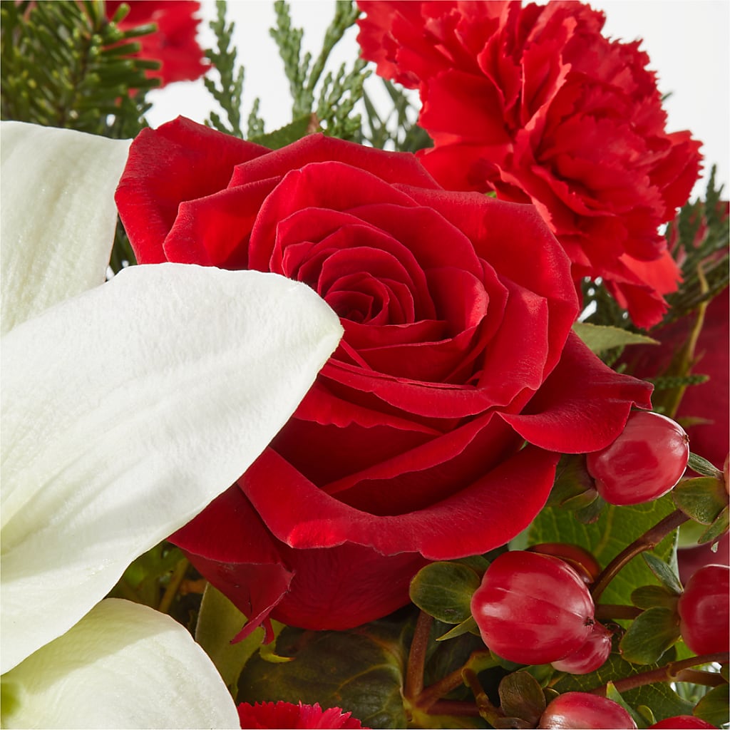 Oh So Jolly Bouquet –  Ashland Floral Gardens Llc, Ashland OH