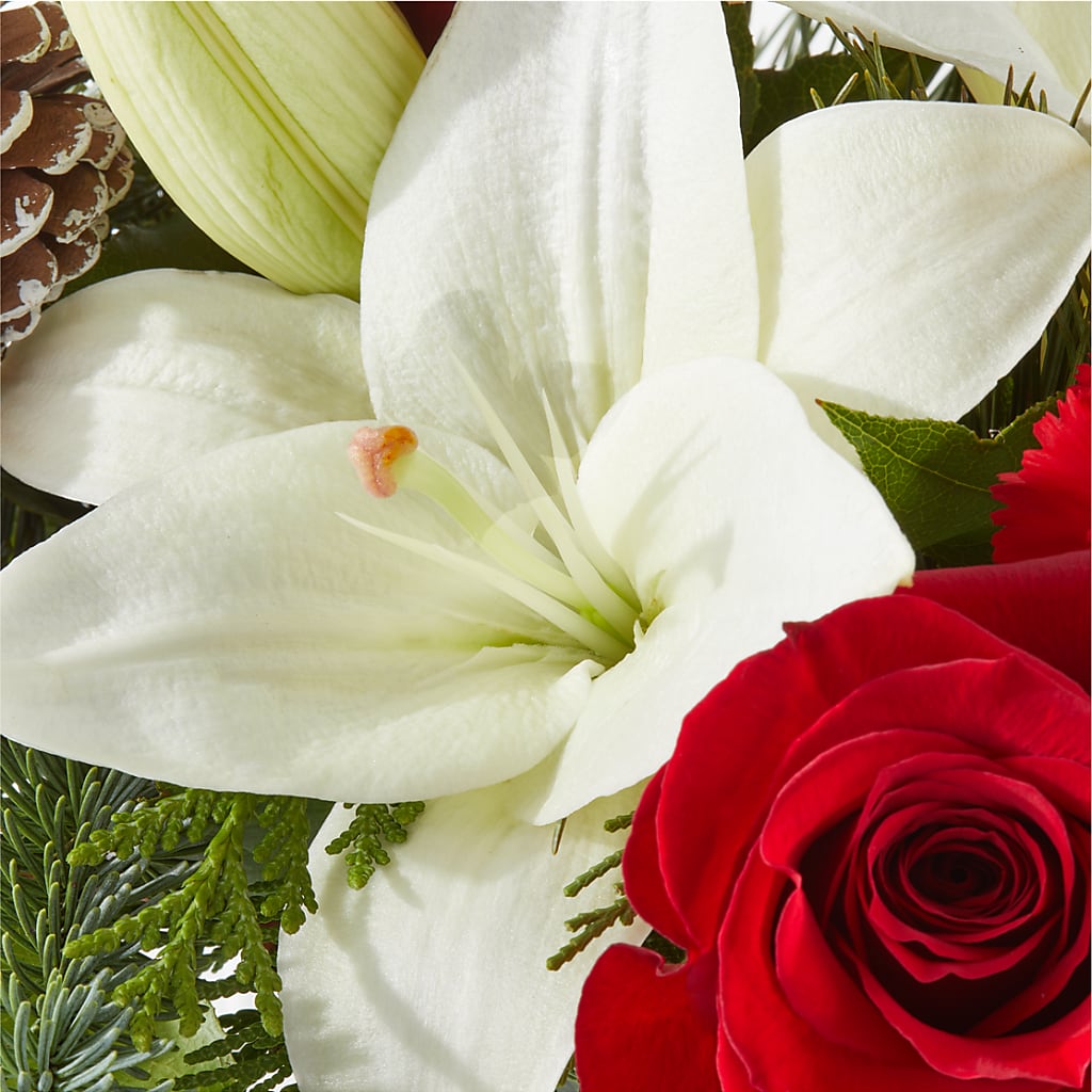 Oh So Jolly Bouquet –  Ashland Floral Gardens Llc, Ashland OH