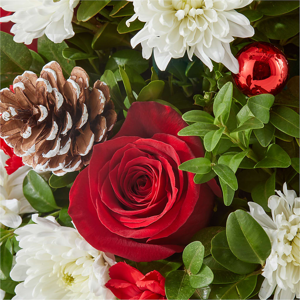 Let It Snow Tree –  Ashland Floral Gardens Llc, Ashland OH