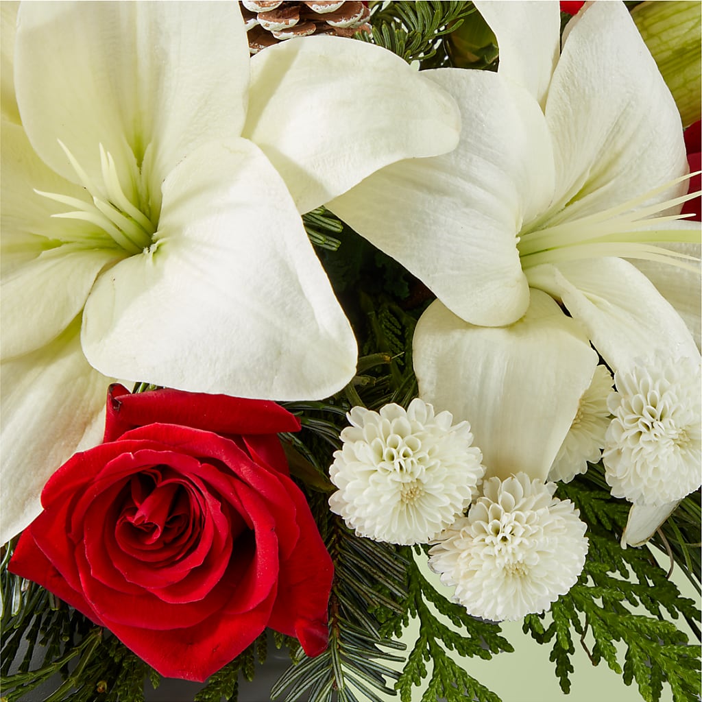Seasonal Festivities Centerpiece –  Ashland Floral Gardens Llc, Ashland OH