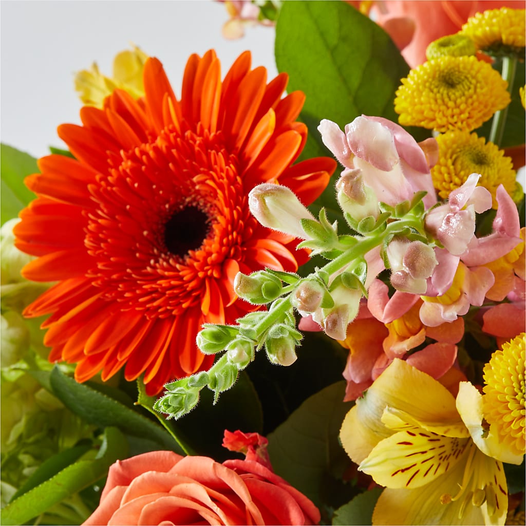 Autumn Sunshine Bouquet –  Ashland Floral Gardens Llc, Ashland OH