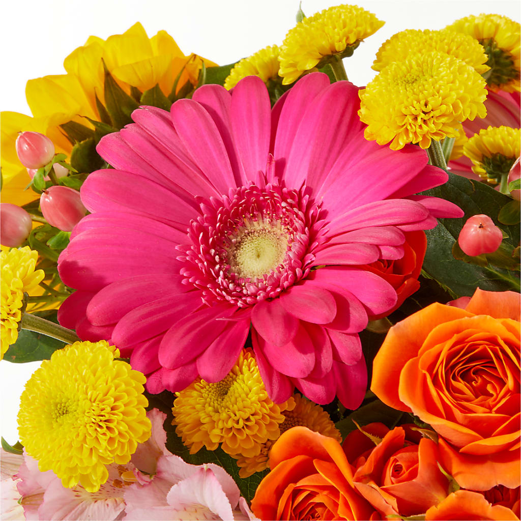 Beach Day Bouquet –  Ashland Floral Gardens Llc, Ashland OH