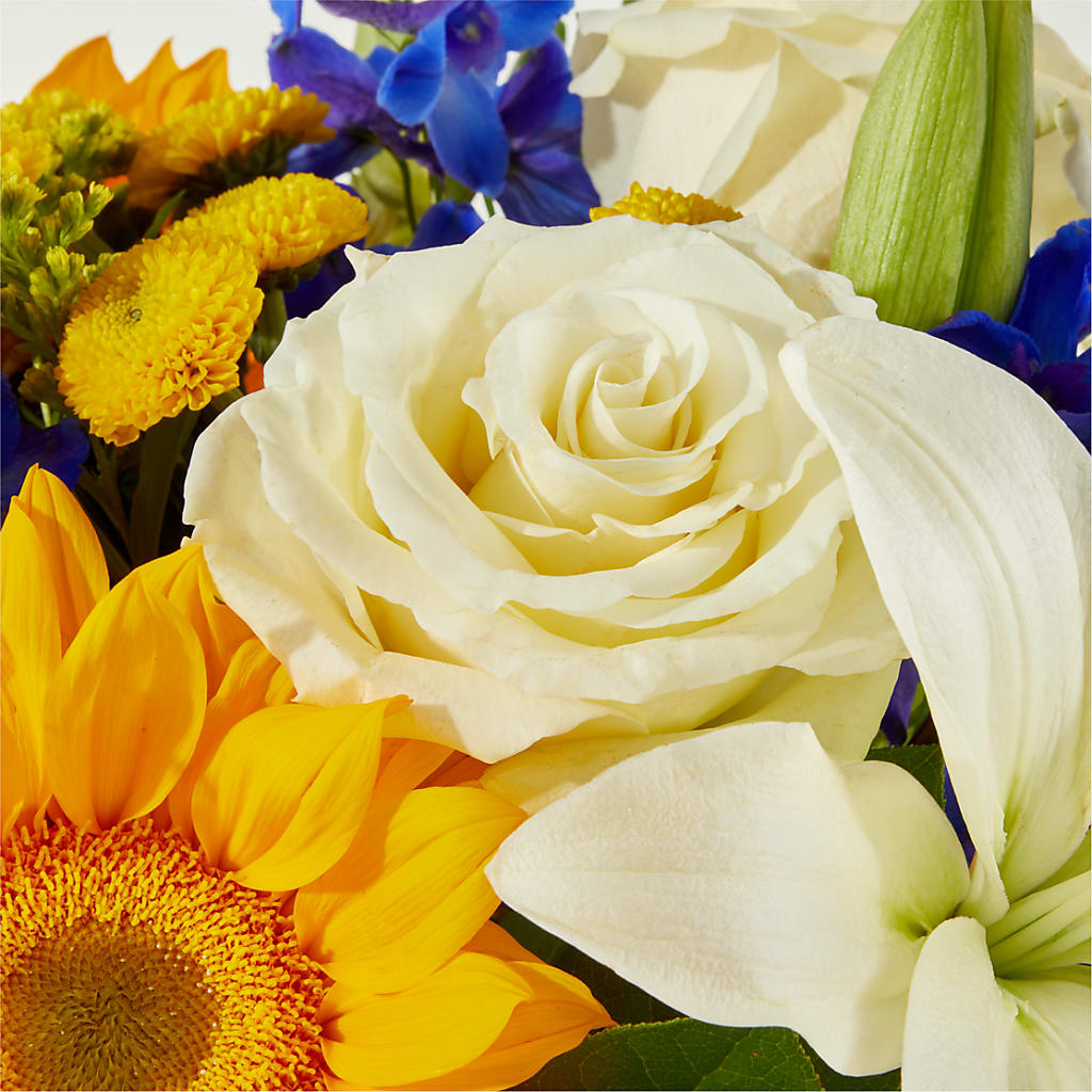 Stargazing Bouquet –  Ashland Floral Gardens Llc, Ashland OH