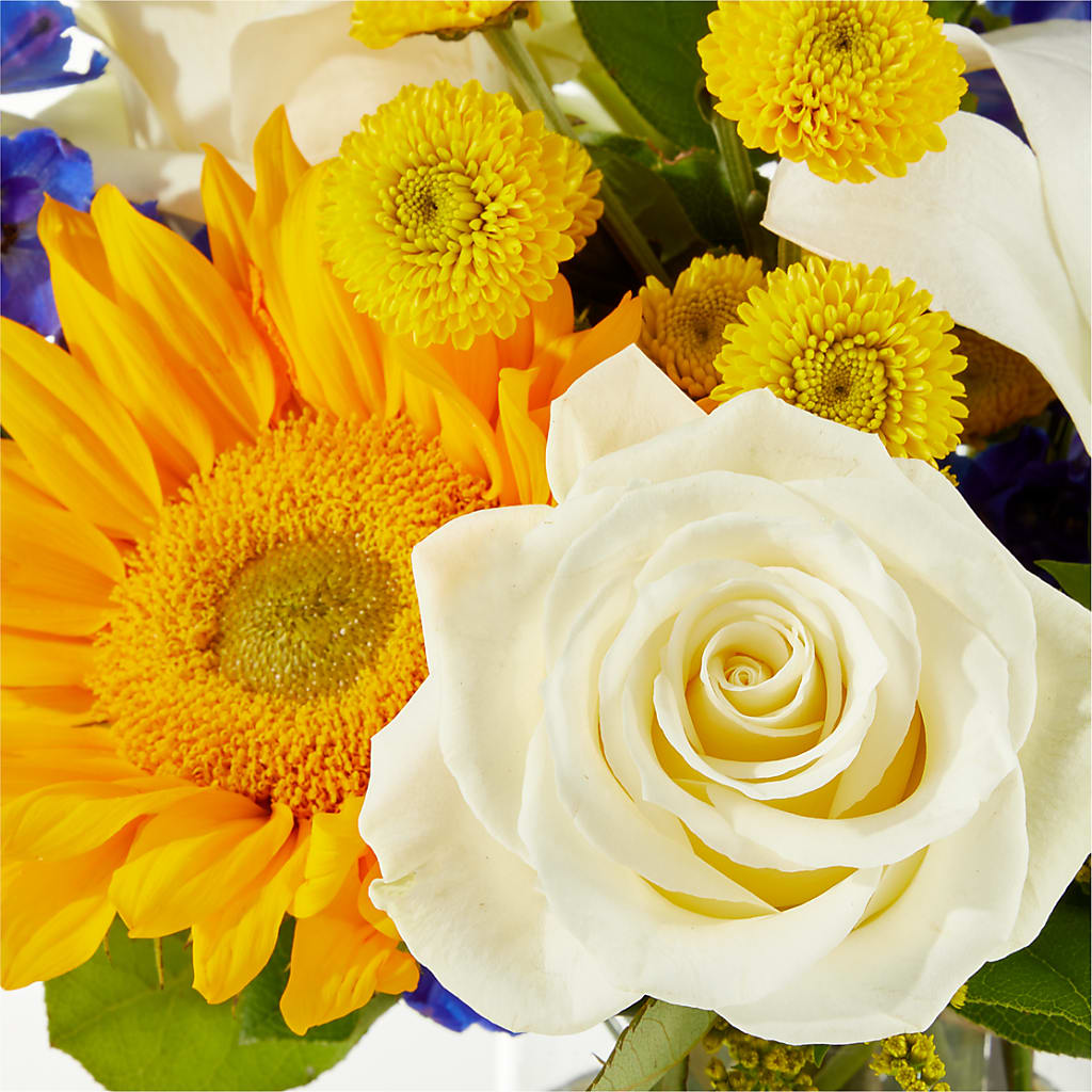 Stargazing Bouquet –  Ashland Floral Gardens Llc, Ashland OH