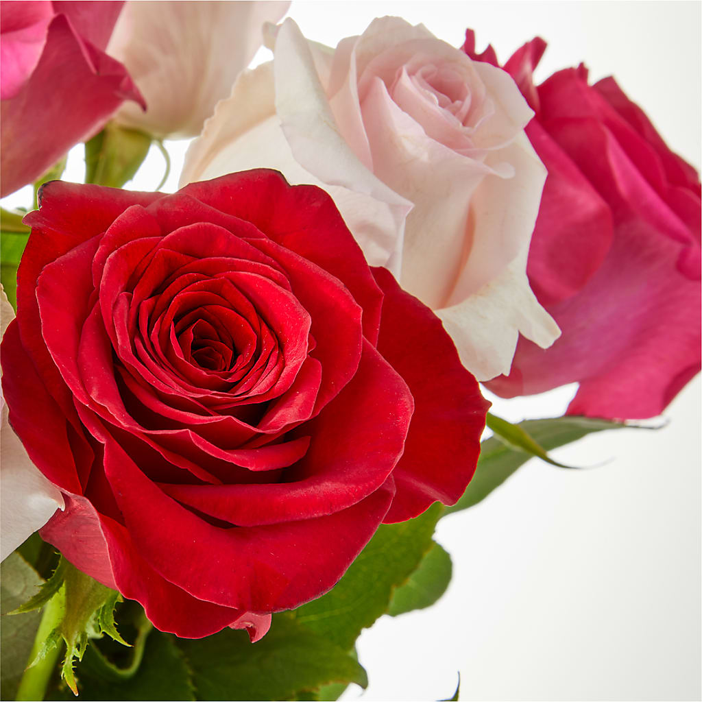 Charming Rose Bouquet –  Ashland Floral Gardens Llc, Ashland OH