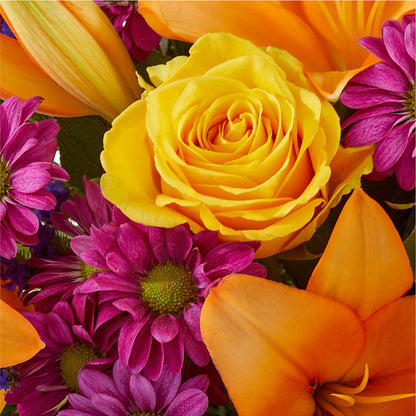 Colorful Visions Bouquet –  Ashland Floral Gardens Llc, Ashland OH