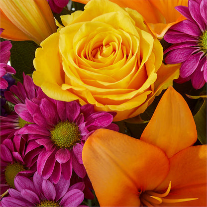Colorful Visions Bouquet –  Ashland Floral Gardens Llc, Ashland OH