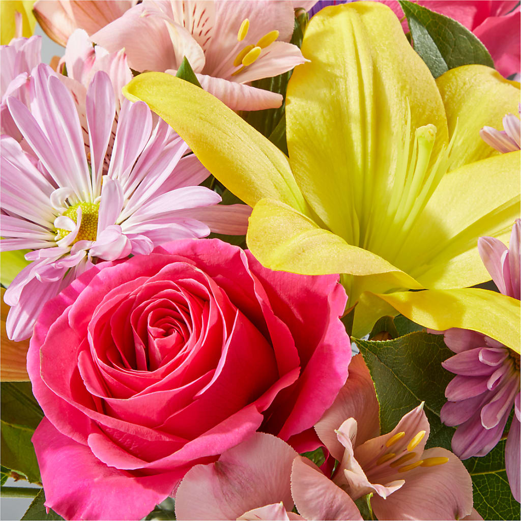 Sprinkles Bouquet –  Ashland Floral Gardens Llc, Ashland OH