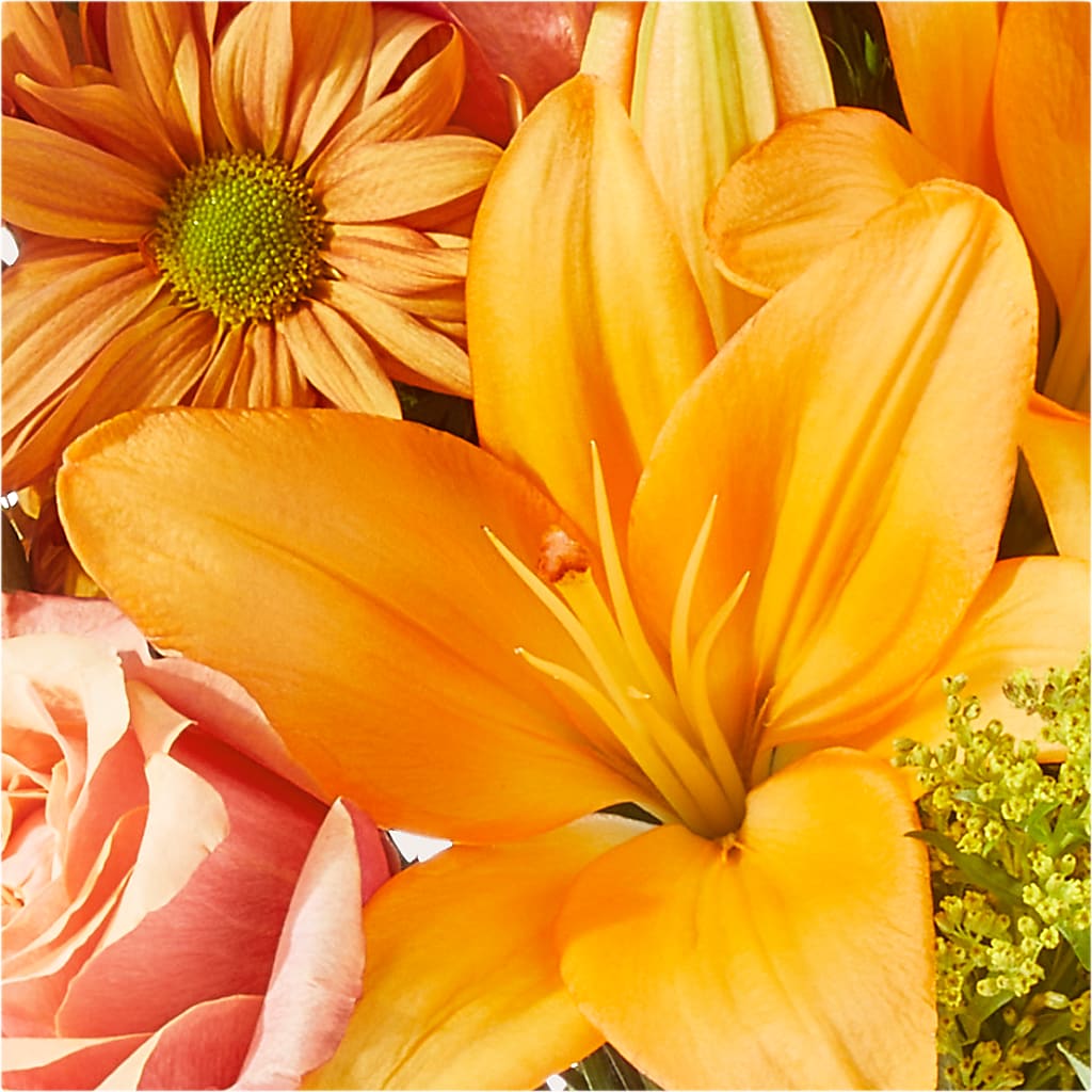 Harvest Hayride Bouquet –  Ashland Floral Gardens Llc, Ashland OH