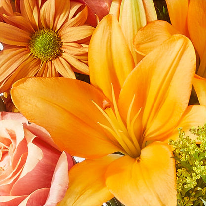 Harvest Hayride Bouquet –  Ashland Floral Gardens Llc, Ashland OH