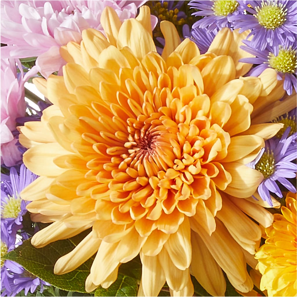 Countryside Bouquet –  Ashland Floral Gardens Llc, Ashland OH