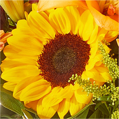 Seasons Change Bouquet –  Ashland Floral Gardens Llc, Ashland OH