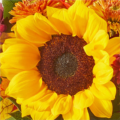 Sunny Side Bouquet –  Ashland Floral Gardens Llc, Ashland OH