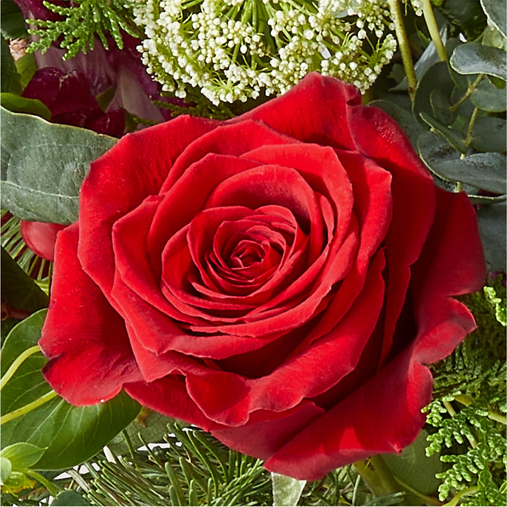Cranberry Fizz Bouquet –  Ashland Floral Gardens Llc, Ashland OH