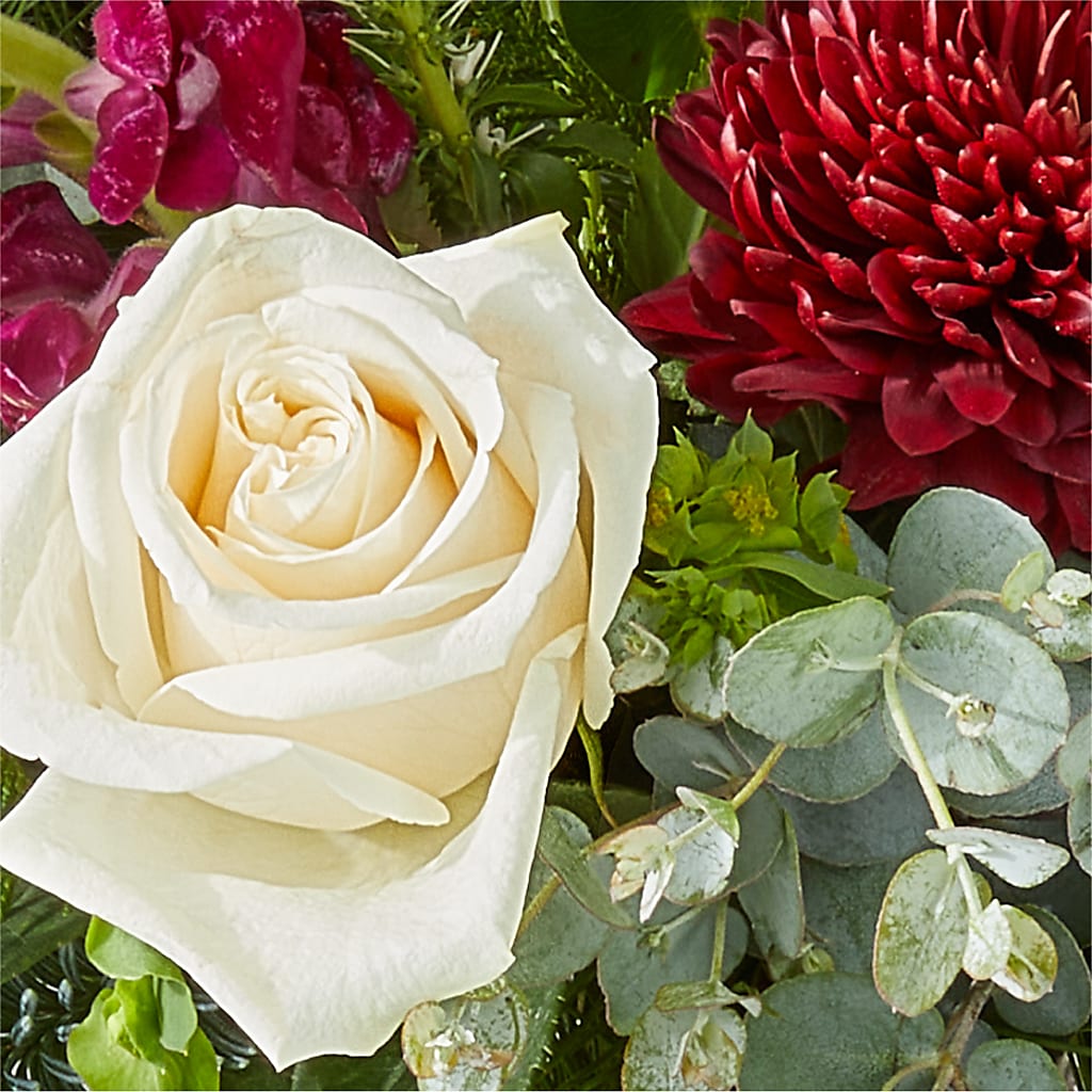 Cranberry Fizz Bouquet –  Ashland Floral Gardens Llc, Ashland OH