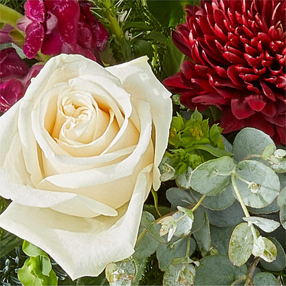 Cranberry Fizz Bouquet –  Ashland Floral Gardens Llc, Ashland OH