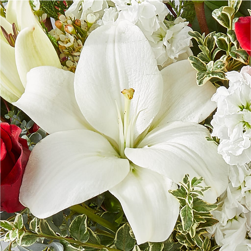 Twinkle Lights Bouquet –  Ashland Floral Gardens Llc, Ashland OH
