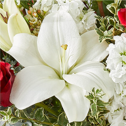 Twinkle Lights Bouquet –  Ashland Floral Gardens Llc, Ashland OH