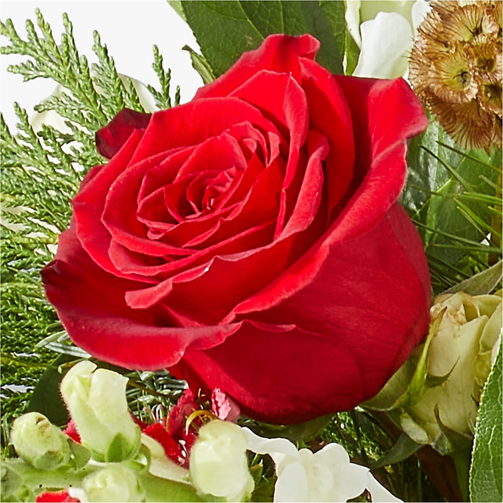 Deck the Halls Bouquet –  Ashland Floral Gardens Llc, Ashland OH