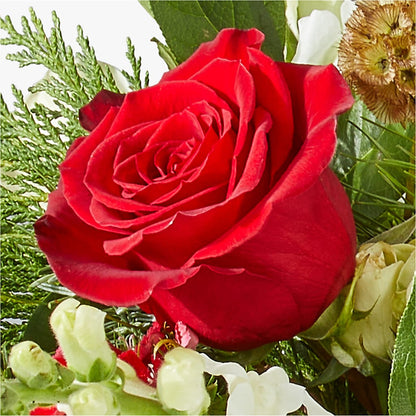 Deck the Halls Bouquet –  Ashland Floral Gardens Llc, Ashland OH