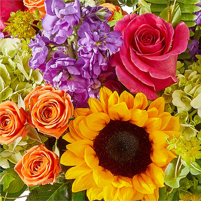 Vibrant Greetings Bouquet –  Ashland Floral Gardens Llc, Ashland OH