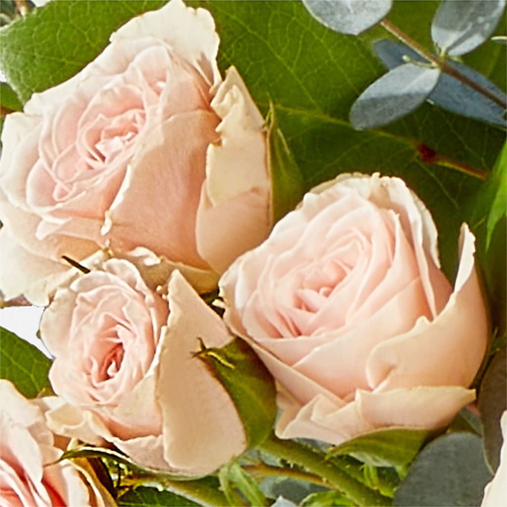 Inspired Bouquet –  Ashland Floral Gardens Llc, Ashland OH