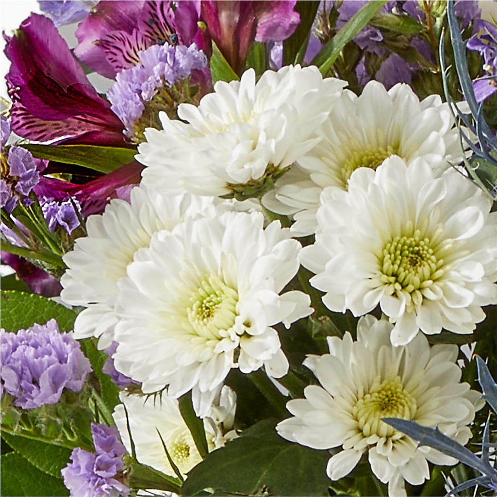Shooting Star Bouquet –  Ashland Floral Gardens Llc, Ashland OH
