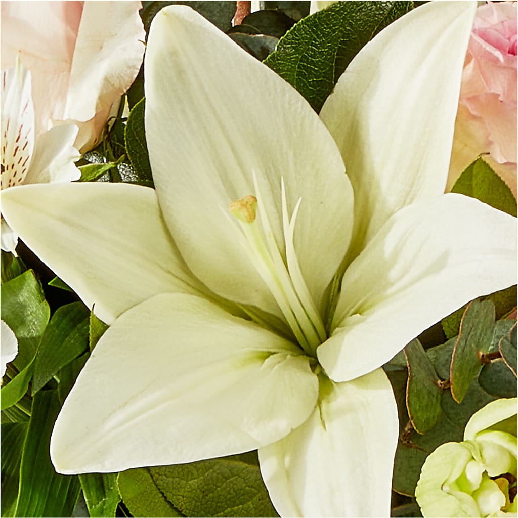 Ballet Slippers Bouquet –  Ashland Floral Gardens Llc, Ashland OH