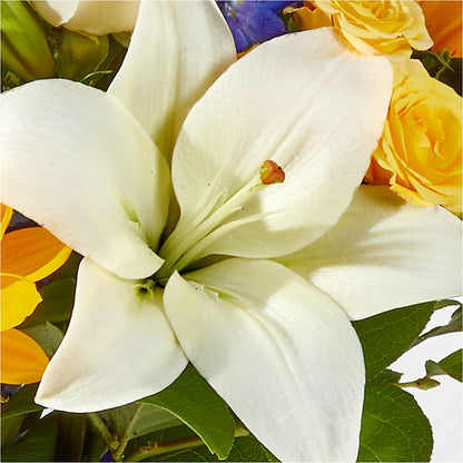 Wonderfully Sunny Bouquet –  Ashland Floral Gardens Llc, Ashland OH