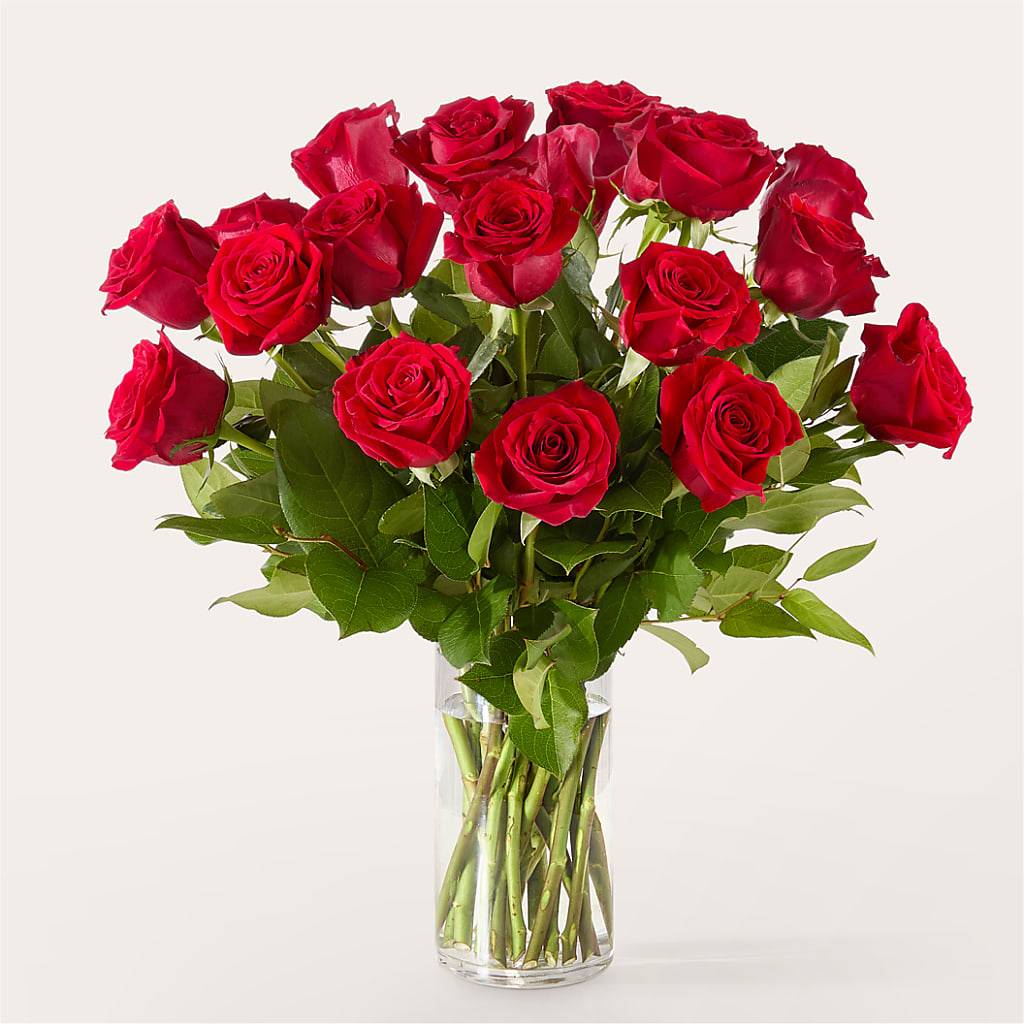 The One Red Rose Bouquet –  Ashland Floral Gardens Llc, Ashland OH