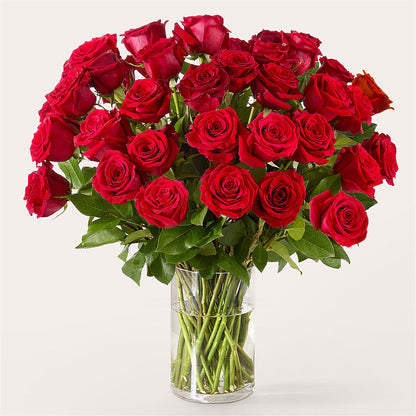 The One Red Rose Bouquet –  Ashland Floral Gardens Llc, Ashland OH