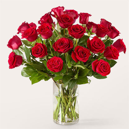 The One Red Rose Bouquet –  Ashland Floral Gardens Llc, Ashland OH