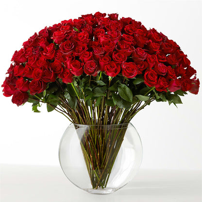 The Idealist –  Ashland Floral Gardens Llc, Ashland OH