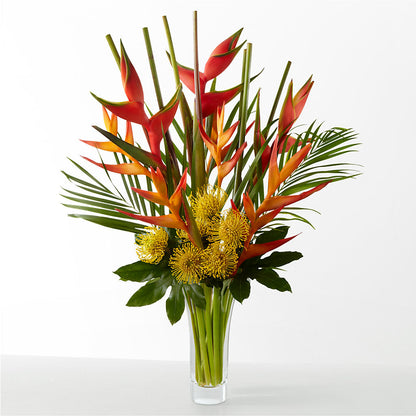 The Drama –  Ashland Floral Gardens Llc, Ashland OH