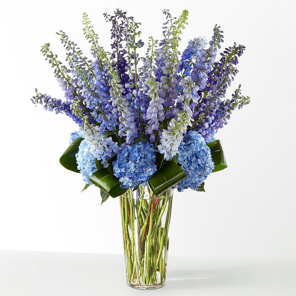 The Editorial –  Ashland Floral Gardens Llc, Ashland OH