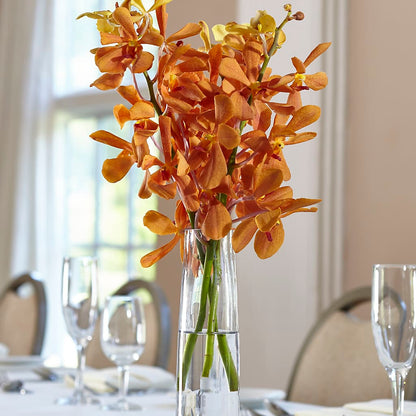 Orange Mokara Bud Vase –  Ashland Floral Gardens Llc, Ashland OH