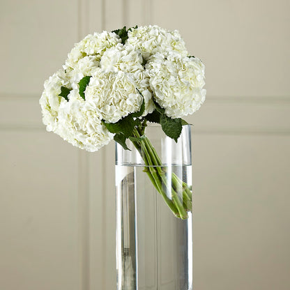 White Hydrangea Hand-Tied Bouquet –  Ashland Floral Gardens Llc, Ashland OH