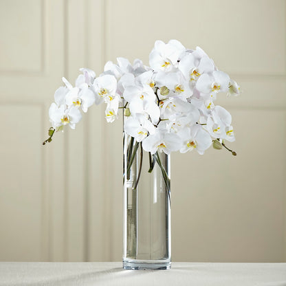 White Phalaenopsis Bouquet –  Ashland Floral Gardens Llc, Ashland OH
