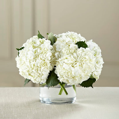 White Hydrangea Bouquet –  Ashland Floral Gardens Llc, Ashland OH